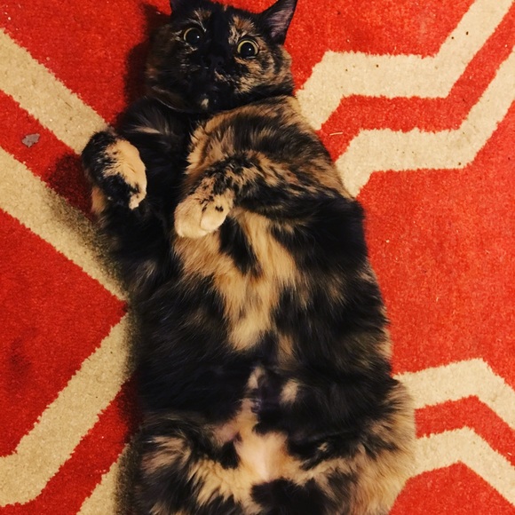 Meet Your Posher, Michelle - Picture 3 of 8